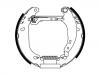 Zapata de freno Brake Shoe Set:4241.8J