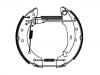 刹车蹄片 Brake Shoe Set:4241.9F