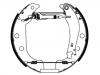 刹车蹄片 Brake Shoe Set:4241.6E