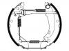 Bremsbackensatz Brake Shoe Set:77 01 205 314